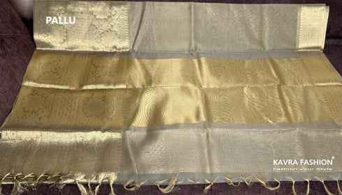 Grey Soft Semi Banarasi Tissue Silk Saree with Floral Zari Border