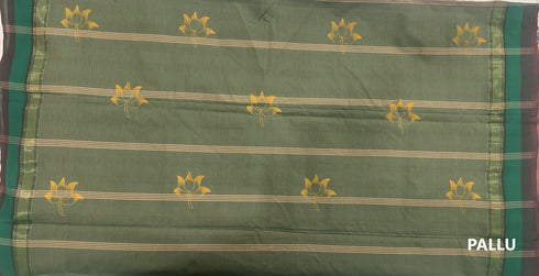 Beige Semi Kanchi Cotton Kalamkari Hand Paint Handloom Saree with Contrast Pallu and Border