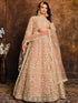 Peach Net Designer Anarkali Suit